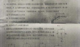 秋爸最新消息爆料是真的吗,最新消息真实性揭秘