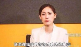马蓉最新爆料海口,揭秘婚姻内幕