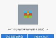 爆料小吃教程视频,轻松学会制作美味小吃！