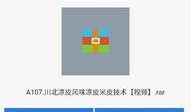 爆料小吃教程视频,轻松学会制作美味小吃！