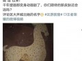 瑶妹最新皮肤爆料视频下载