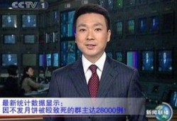 天涯爆料康辉简介视频播放,揭秘主播背后的故事